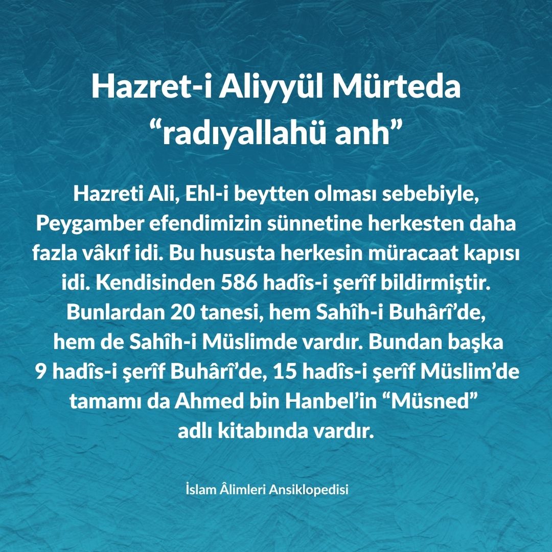 Aliyyül Mürteda (25)